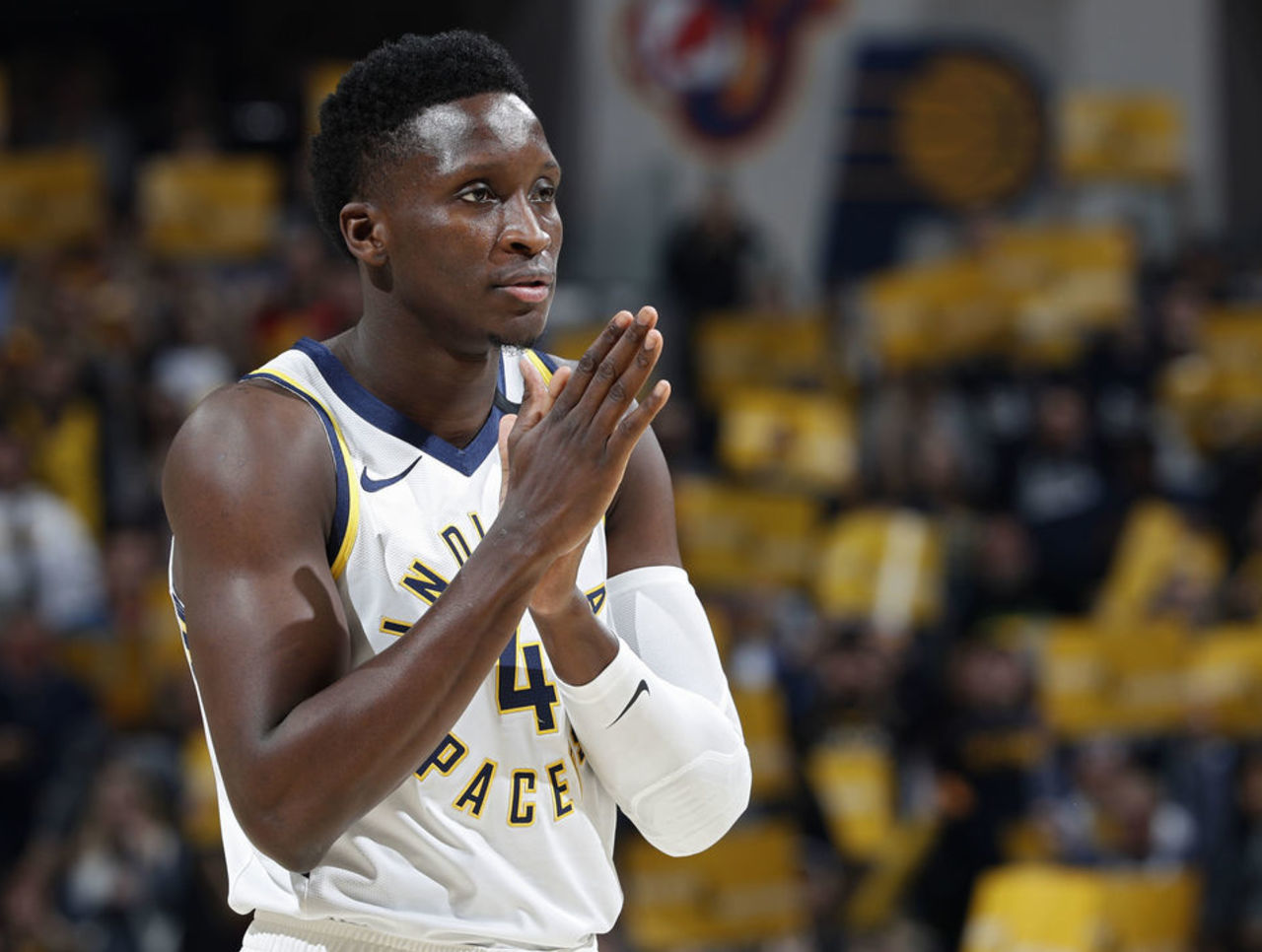 的山东泰山 的山东泰山