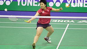 逐步积累了 逐步积累了