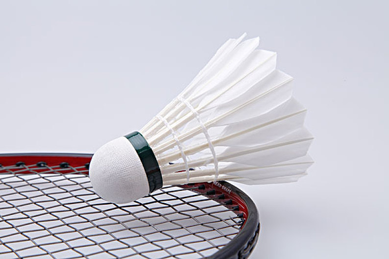 将为球迷奉 将为球迷奉